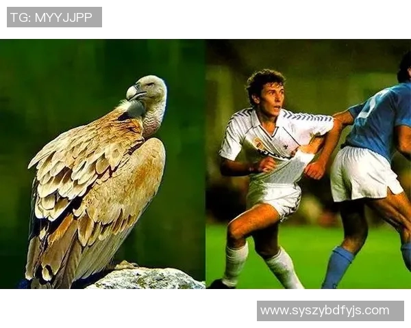 中国足球传奇人物外号揭秘与他们的辉煌成就回顾