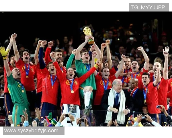 2016欧洲杯精彩回顾与比赛结果分析全景展现