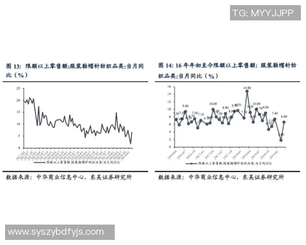 中国品牌体育服装崛起的背后：创新设计与市场竞争的双重驱动分析