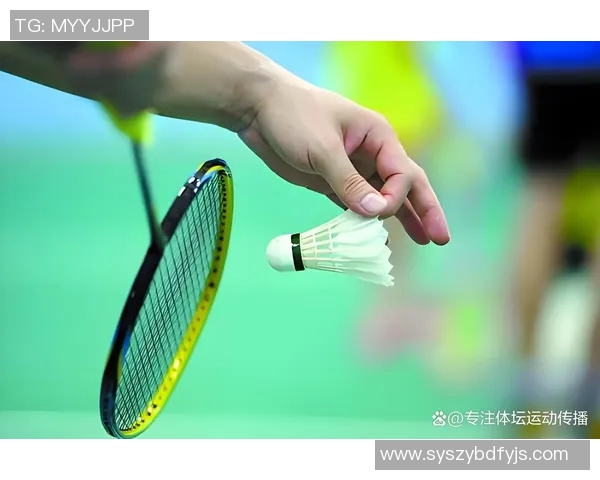 全面解析羽毛球器材选择与使用技巧的视频指南助你提升竞技水平
