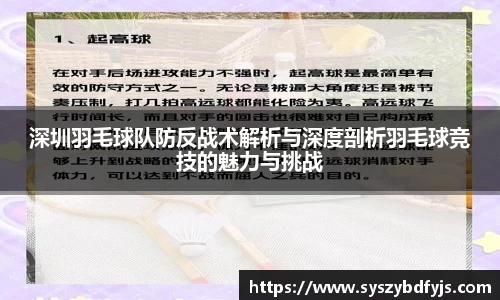 深圳羽毛球队防反战术解析与深度剖析羽毛球竞技的魅力与挑战