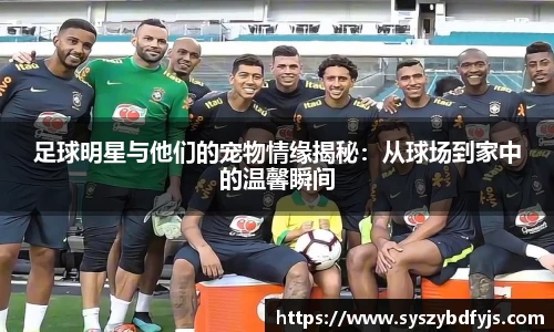 球速体育官网
