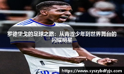 球速体育
